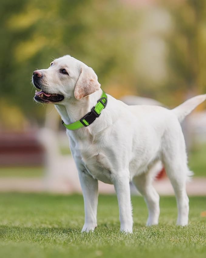 Joytale Large Dog Collar, Reflective and Adjustable Nylon Pet Collar with Quick-Release Buckle for Extra Large Dogs, Green, XL