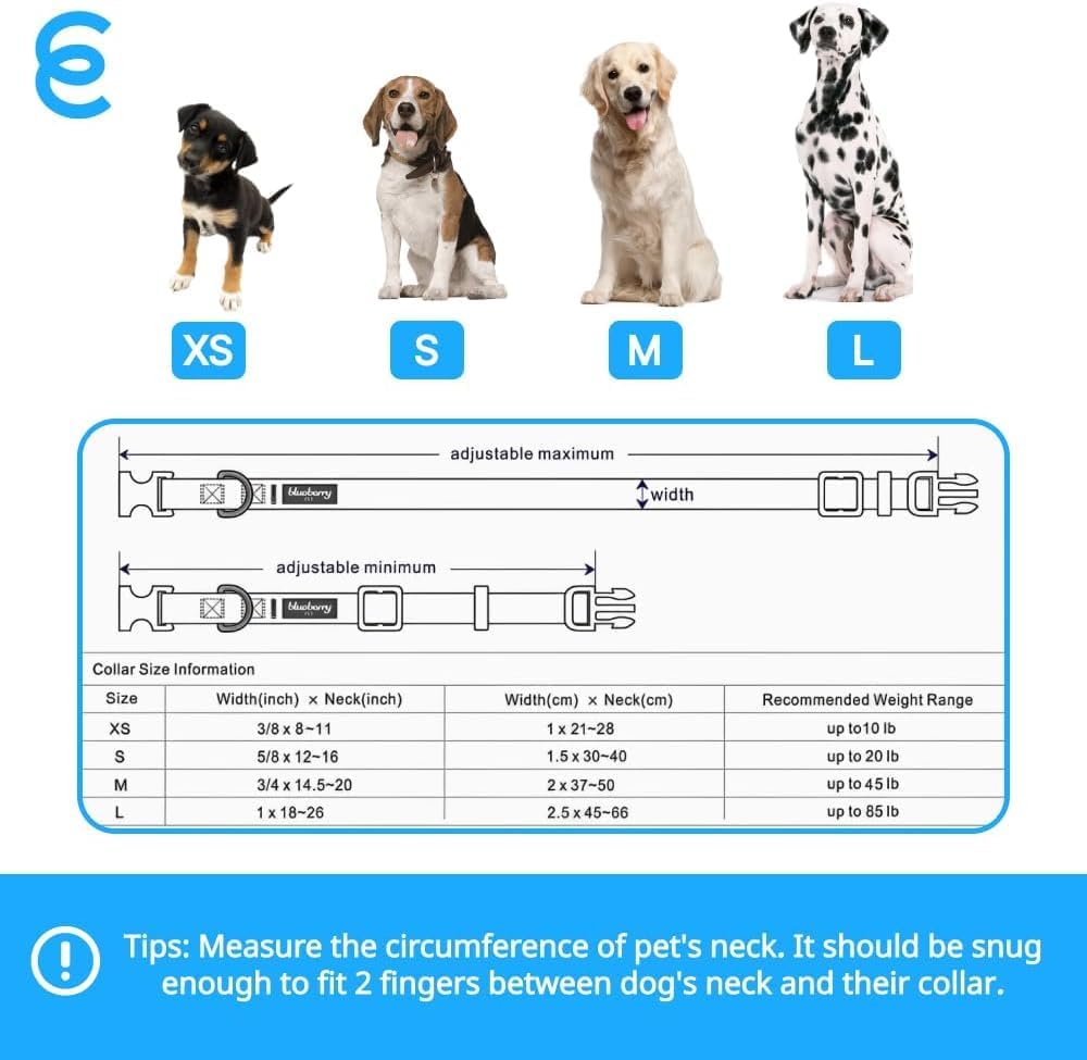 Blueberry Pet Essentials X-Small Dog Collar in Turquoise | Adjustable & Eco-Friendly Durable Nylon Strap | Classic Collar for X-Small Dogs, Boy & Girl Pets