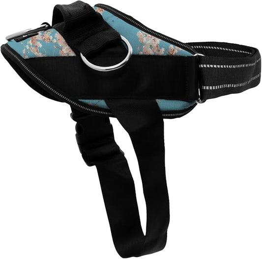 ShawnCo Essential Dog Harness, No-Pull Pet Vest with 3 Leash Clips, No Choke, Reflective, Adjustable and Padded, for Easy Walking and Training for Small, Medium and Large Dogs (Freckle's Garden, M)