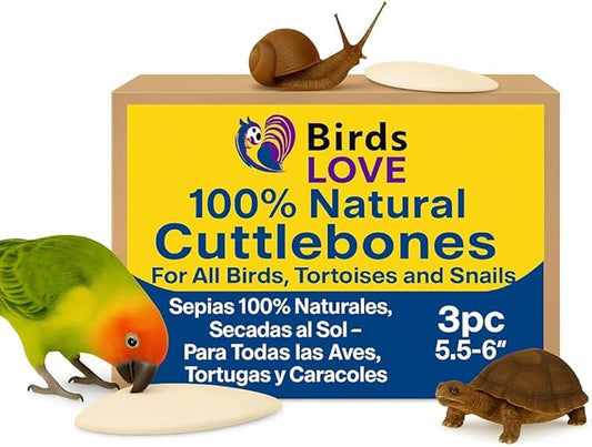 Birds LOVE Natural Cuttlebone for Birds & Reptiles – 100% Pure Sun-Dried Calcium Supplement – Supports Beak, Bone & Shell Strength – Daily Use - 3 Pack with Holder, Size 5.5 to 6"