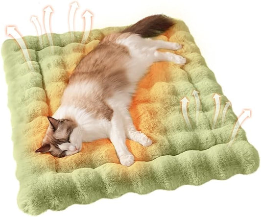 Cat Beds for Indoor Cats Faux Fur Pet Mat Cute Kitten Plush Bed with Non-Slip Bottom for Carriers/Sofa Dog & Puppy Friendly 27 x 20 Inch Large Green