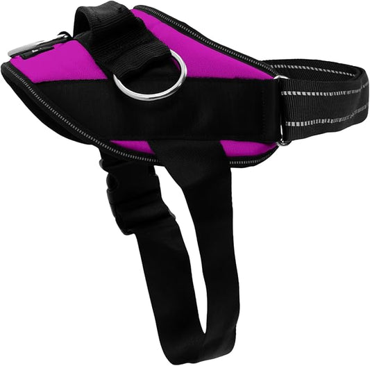 ShawnCo Essential Dog Harness, No-Pull Pet Vest with 3 Leash Clips, No Choke, Reflective, Adjustable and Padded, for Easy Walking and Training for Small, Medium and Large Dogs (Orchid, S)