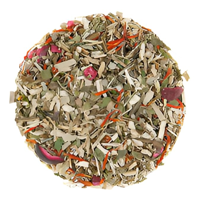 Cranberry Echinacea