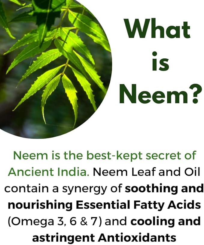 Neem Bark Capsules 400 mg Organic Fresh Ground Neem Bark Powder Grown in America 120 Count & Made in USA Vegan