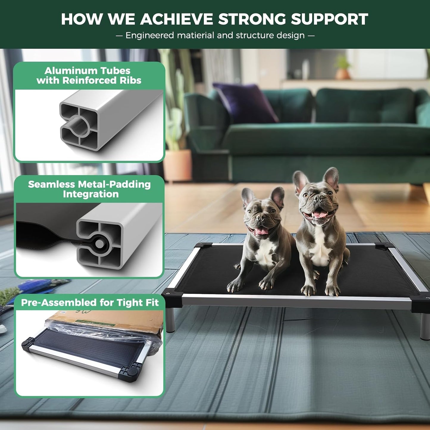FXW TitanNest Chew-Proof Elevated Dog Bed, Raised Cot for Indoor/Outdoor/Camping Use, Durable & Washable Padded Pet Bed for Extra-Small Dogs, 29.0" L x 18.0" W x 4.5" H, Black