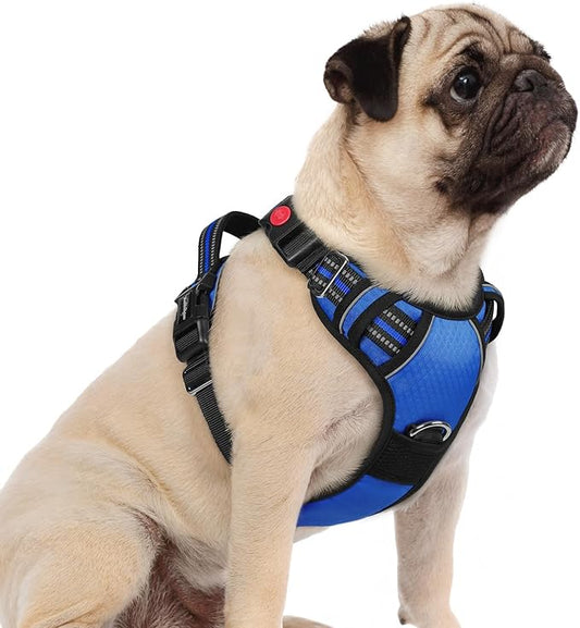 rabbitgoo Dog Harness Small Sized, No Pull Dog Vest with 3 Buckles, Adjustable Soft Padded Pet Harness with Easy Control Handle and Reflective Strips, Royal Blue, S