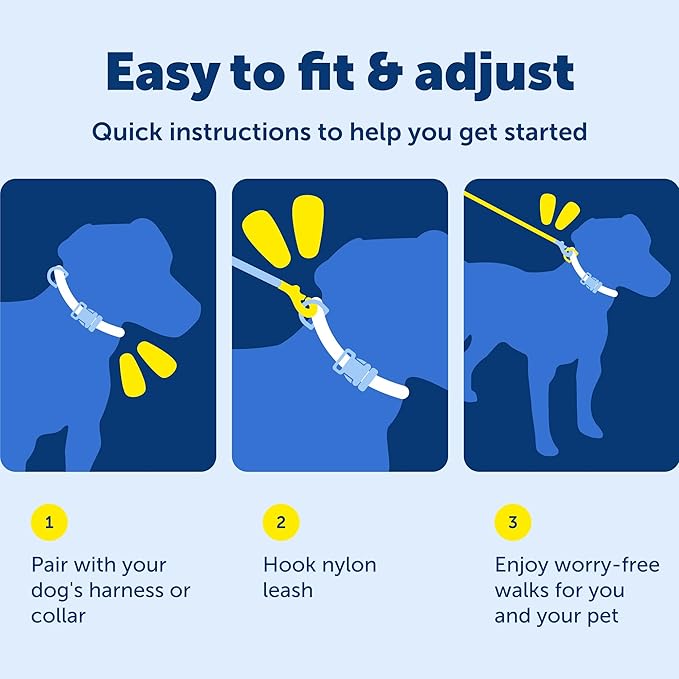PetSafe Nylon Leash - Everyday Use Dog Leash - Lightweight Nylon - Quick Attach - Durable Pet Lead - 3/4" Wide - 6 Foot - Red