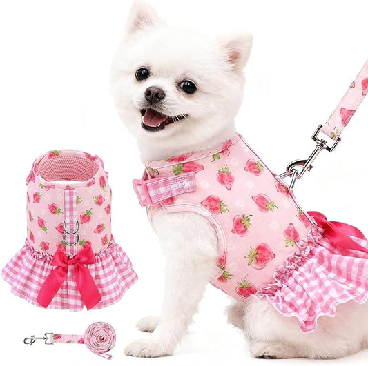 EXPAWLORER Dog Harness Small Medium Sized Dogs, Plaid Dog Dress Bowknot Harness and Leash Set, No Choke No Pull Soft Mesh Vest Cute Princess Puppy Outfits Clothes Costume for Girls Party Cats Pink XS