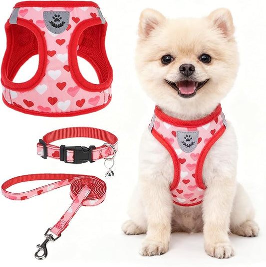 SCENEREAL Valentines Dog Harness Collar and Leash Set, Step in No Pull Soft Mesh Pet Harnesses for Small Medium Dogs Puppy Cats, No Chock Reflective Vest Harness