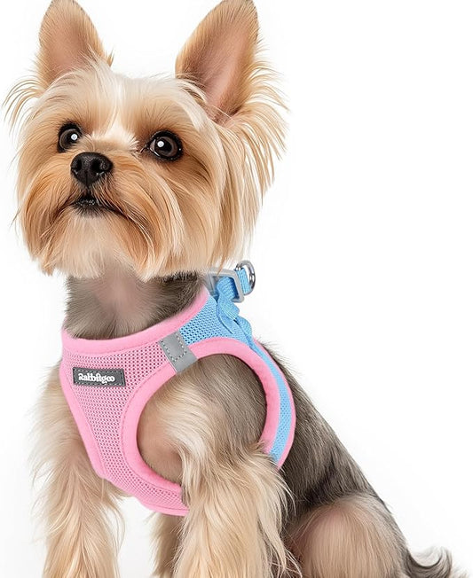 rabbitgoo Small Dog Harness, Step-in Soft Mesh Puppy Vest with Safety Buckle, Breathable Reflective Pet Harness for Small Sized Dogs, Blue & Light Pink XS