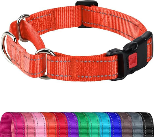Joytale Martingale Collar for Dogs, Reflective Heavy Duty for Safety, Quick Release Buckle, Adjustable Nylon Collars for Large Dogs Walking Training, Orange,L