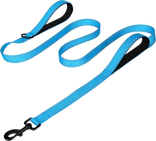 Joytale Dog Leash Heavy Duty for Large Dogs that Pull, Double Handle for Traffic Control, Double-Sided Reflective Leashes for Large Medium Dogs Night Safety, 6FT, Aqua Blue