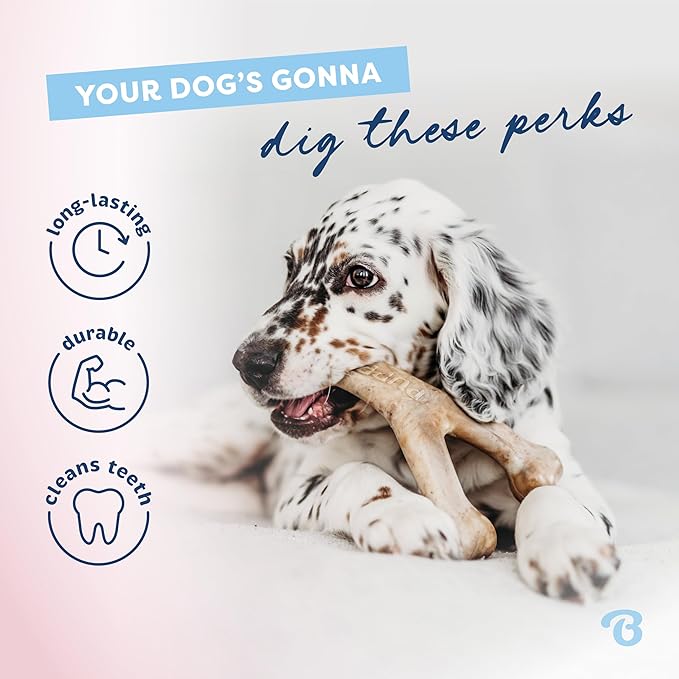 Benebone Puppy 4-Pack Dog Chew Toys, Made in USA, 30lbs and Under, for Modest Chewers