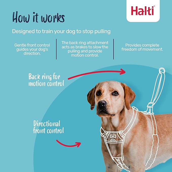 Halti No Pull Harness - Stop Your Dog Pulling on The Leash. Adjustable, Lightweight and Easy to Use. Reflective Dog Training Harness for Toy and Small Dogs (Size XS, Cobalt Blue)