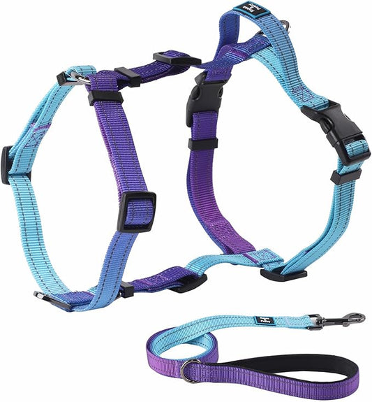 Roses&Poetry Small Dog Harness and Leash Set, No Pull Dog Harness Adjustable Reflective, Dog Halter Harnesses Comfort Padded Handle, Pet Harness for Training Outdoor Walking（Gsky-S