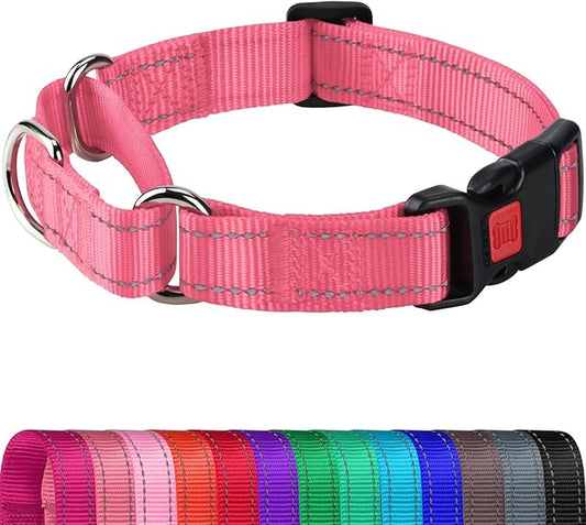 Joytale Martingale Collar for Dogs, Reflective Heavy Duty for Safety, Quick Release Buckle, Adjustable Nylon Collars for Large Dogs Walking Training, Neon Pink, L