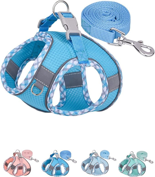 Petank Dog Harness for Small Medium Dogs No Pull, Puppy Harness and Leash Set, Step in Dog Harness for Walking, Running, Training, Small Dog Vest(Bule, S)
