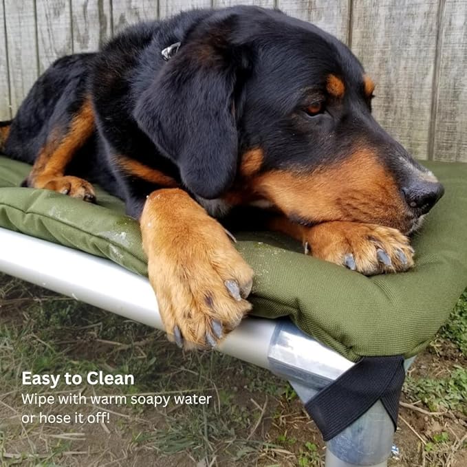 Kuranda Chewproof Elevated Pet Bed - Silver Aluminum - 25" x 18" - Sunsure Textilene - Birch