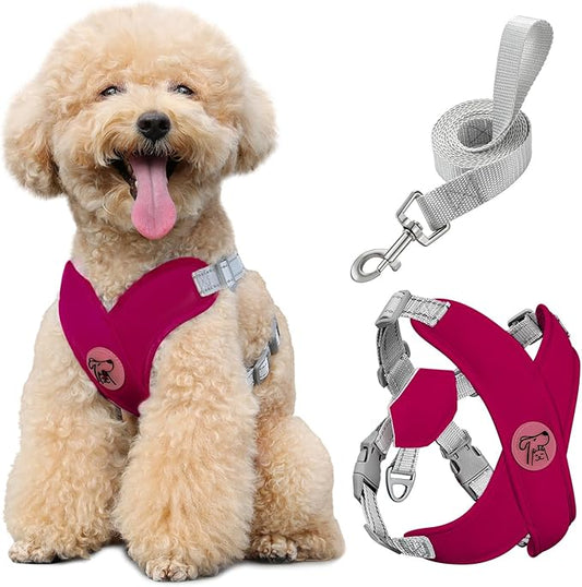 Pawaboo Small Dog Harness and Leash Set, Puppy Harness X-Frame No Pull No Choke, Dog Vest Harness Adjustable for Small Medium Sized Dogs, Soft Breathable Pet Harness for Walking Outing, M, Magenta
