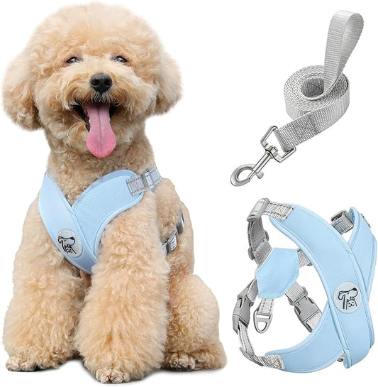 Pawaboo Small Dog Harness and Leash Set, Puppy Harness X-Frame No Pull No Choke, Dog Vest Harness Adjustable for Small Medium Sized Dogs, Soft Breathable Pet Harness for Walking Outing (M, Blue)