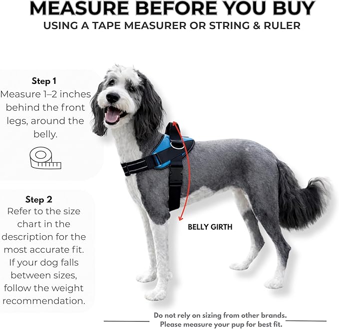 ShawnCo Essential Dog Harness, No-Pull Pet Vest with 3 Leash Clips, No Choke, Reflective, Adjustable and Padded, for Easy Walking and Training for Small, Medium and Large Dogs (Moonglow, XS)