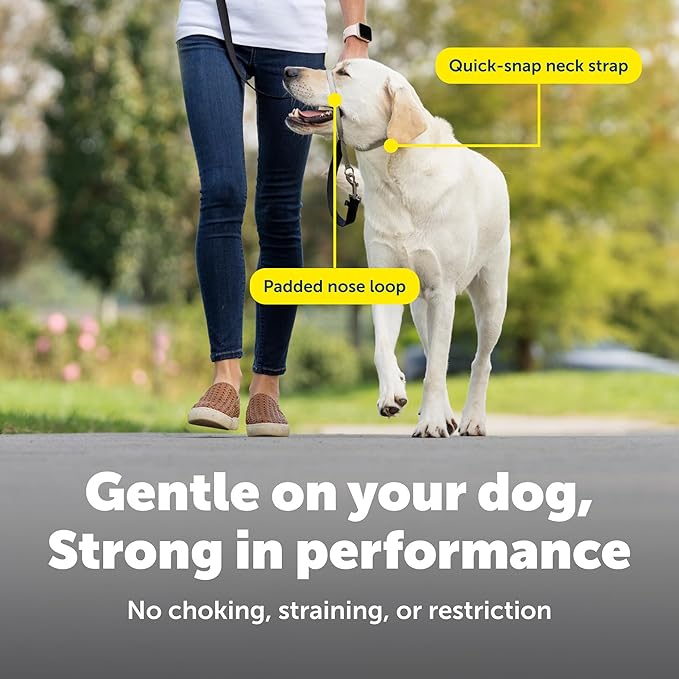 PetSafe Gentle Leader Headcollar No-Pull Dog Collar - Helps Improve Walks - Durable Nylon Construction - Padded Nose Loop - Adjustable Fit - Comfort Walking Halter - Small, Red
