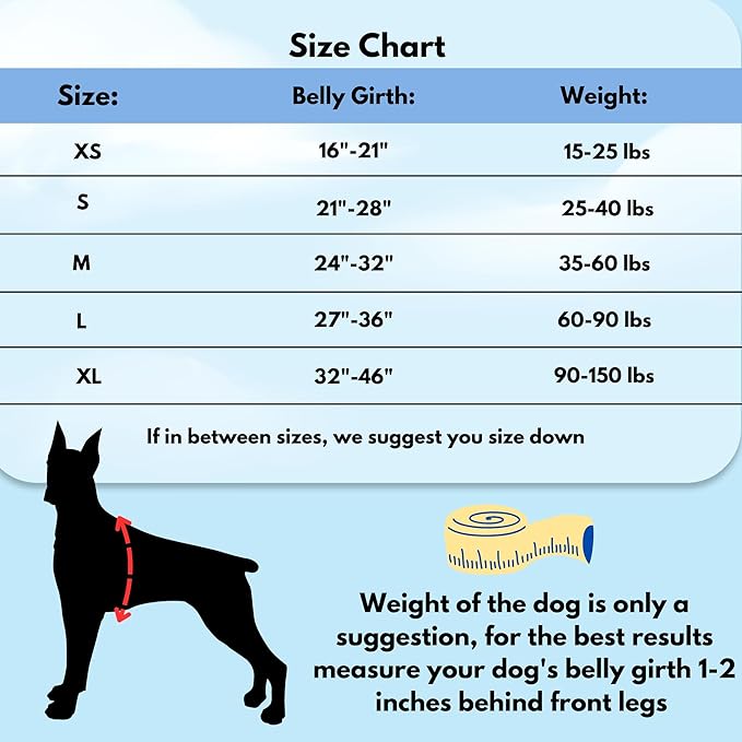 ShawnCo Dream Walk No-Pull Dog Harness- Adjustable, Comfortable, Easy to Use Pet Halter to Help Stop Pulling for Small, Medium and Large Dogs- Art Pattern Designs (Freckle's Garden, S)