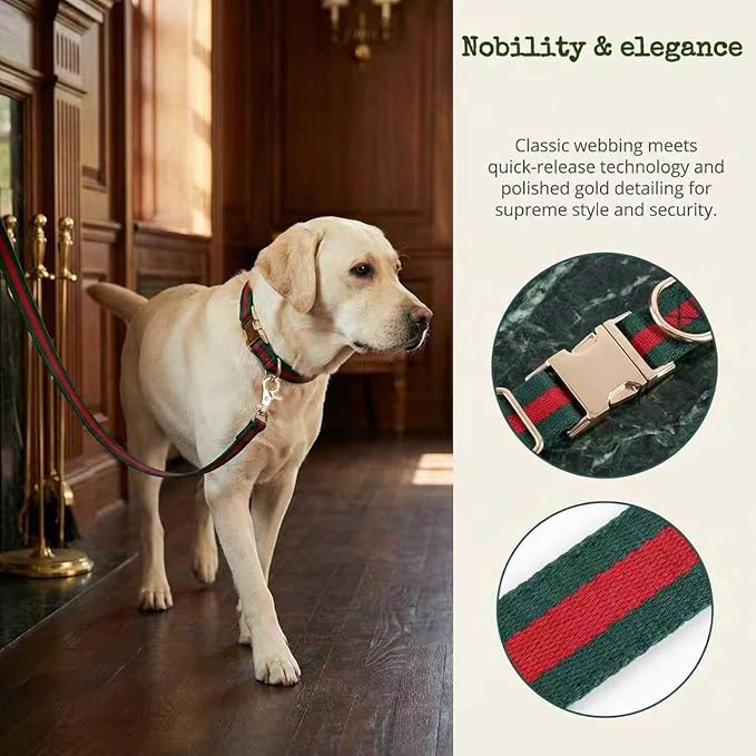 Premium Dog Collar, Cute Dog Collars Luxury Style, Durable Pet Collars and Dog Leash with Metal Buckle Safety for Big Dogs