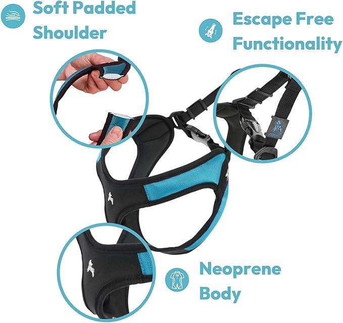 Gooby Escape Free Easy Fit Harness - Hot Pink, X-Small - No Pull Step-in Patented Small Dog Harness with Quick Release Buckle - Perfect On The Go No Pull Harness for Small Dogs or Medium Dog Harness