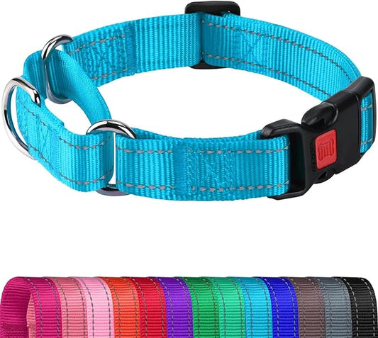 Joytale Martingale Collar for Dogs, Reflective Heavy Duty for Safety, Quick Release Buckle, Adjustable Nylon Collars for Medium Dogs Walking Training, Sky Blue,M