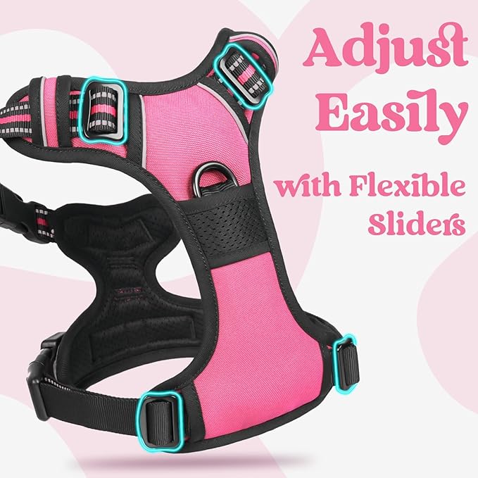 rabbitgoo Dog Harness Small Sized, No Pull Pet Harness with 3 Buckles, Adjustable Soft Padded Vest with Control Handle, Walking Reflective Pet Vest for Small Dogs, Rose Pink, S