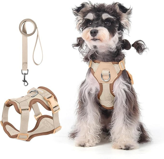 Small Dog Harness and Leash Set, Breathable Mesh Puppy Harness, Adjustable Dog Harness for Small Medium Large Dogs, No-Pull Pet Harness for Daily Walking (Faint Yellow, Small)