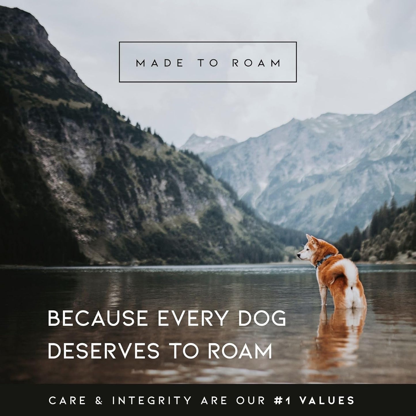 MADE TO ROAM Premium Explorer Harness - Y-Shaped Dog Harness with Adjustable Durable Nylon, Soft Padding, Metal Buckles and Leather Handle for Small, Medium, Large Dogs (Arizona Heartbeat, Size 7)