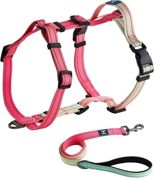 Roses&Poetry Puppy Dog Harness and Leash Set, No Pull Dog Harness Adjustable Reflective, Dog Halter Harnesses Comfort Padded Handle, Pet Harness for Training Outdoor Walking（Pink-XS