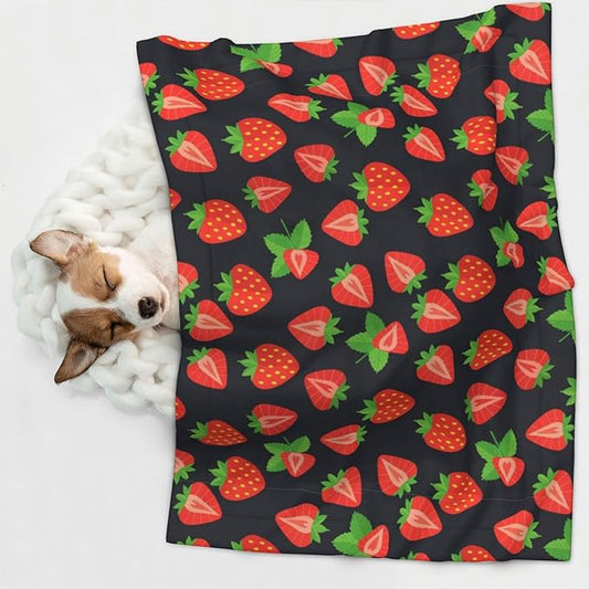 Two Sided Pet Cuddler Blanket for Anxiety Calming, Cute Red Strawberry Pattern Black, Reversible Plush Design with Bubble Dot Pattern Provides Familiar Surface Anywhere