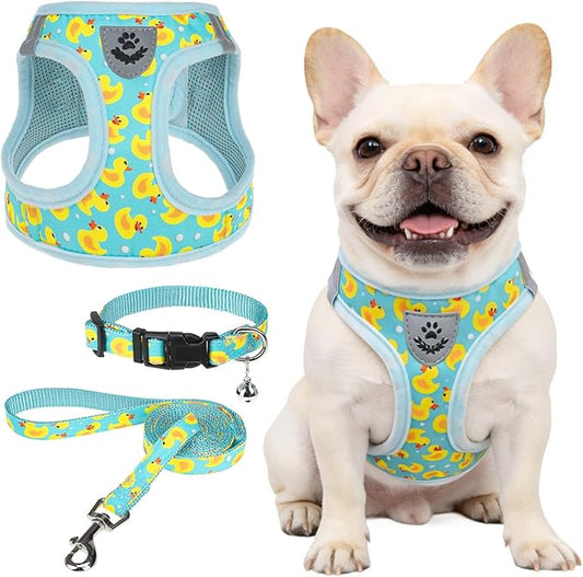 SCENEREAL Small Dog Harness and Leash Collar Set, Step in Soft Light Puppy Vest, Breathable Pet Harness for Small Sized Dogs, No Chock Reflective for Safe Outdoor Walking, Yellow Duck M