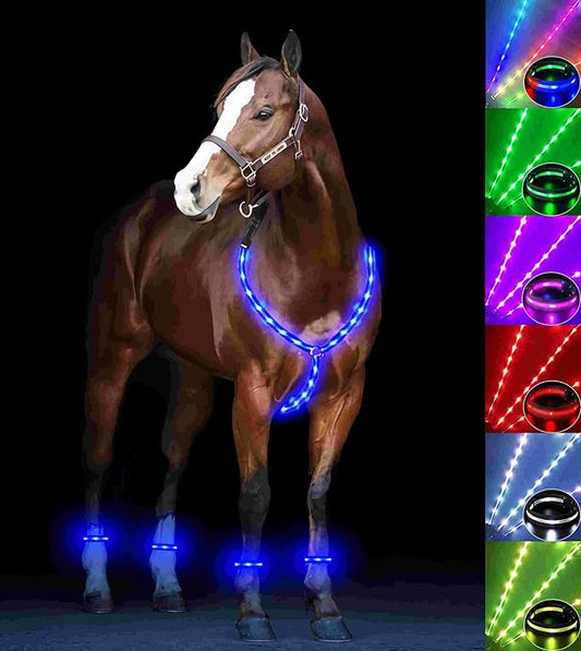 5pcs LED Horse Breastplate Collar & Leg Band, 7 Colors in 1 Light up Tack Set, USB Rechargeable Harness & Leg Strap - Added Visibility & Safety for Night Riding