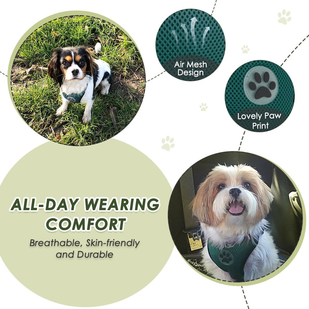 Lukovee Dog Seat Belt for Car, Adjustable Dog Car Harness for Large Medium Small Dogs, Soft Padded & Breathable Mesh Dog Seatbelt with Car Strap and Carabiner((Double Clip 2 in 1),XX-Small)
