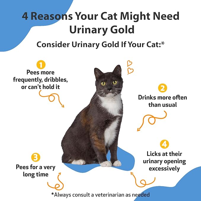 Pet Wellbeing Urinary Gold for Cats - Supports Urinary Tract Health, Normal Frequency, Healthy Immune Response, Stoneroot, Hydrangea - Veterinarian-Formulated Herbal Supplement 2 oz (59 ml)