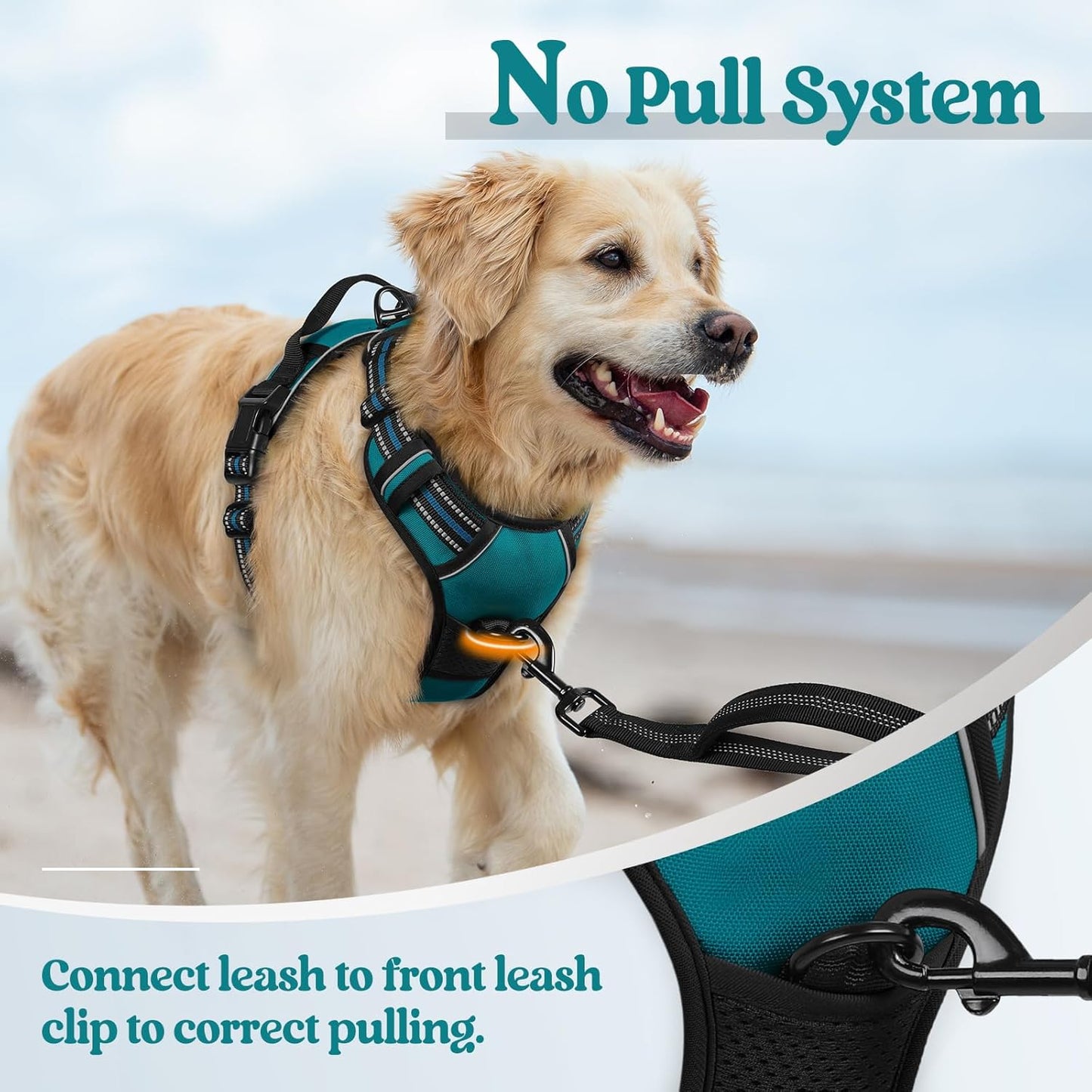 rabbitgoo Dog Harness No Pull with 2 Leash Clips, Adjustable Soft Padded, Reflective Oxford No Choke Pet Vest with Easy Control Handle for Large Dogs, Blue Coral, L