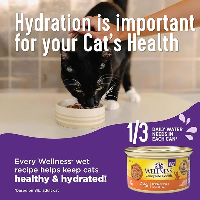 Wellness Complete Health Sliced Adult Wet Cat Food, Natural, Protein-Rich, Grain Free, 5.5 Ounce, 24 Pack, (Chicken Entrée)