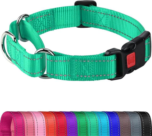 Joytale Martingale Collar for Dogs, Reflective Heavy Duty for Safety, Quick Release Buckle, Adjustable Nylon Collars for Puppy and XSmall Dogs Walking Training, Teal,XS