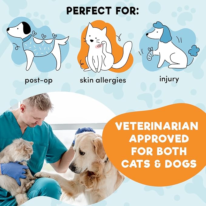 BENCMATE Inflatable Dog Cone Collar Alternative, Soft Dog Cone for Small Medium Large Dogs and Cats, Neck Recovery ECollar Donut Collar After Surgery (Large, Constellation)