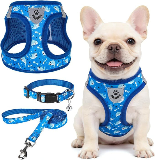 SCENEREAL Small Dog Harness and Leash Collar Set, Step in Soft Light Puppy Vest, Breathable Pet Harness for Small Sized Dogs, No Chock Reflective for Safe Outdoor Walking, Blue Shark S
