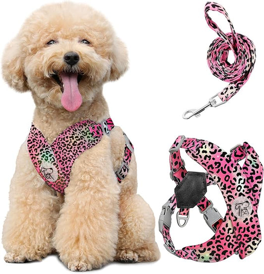 Pawaboo Small Dog Harness and Leash Set, Puppy Harness X-Frame No Pull No Choke, Dog Vest Harnesses Adjustable for Small Medium Sized Dogs,Soft Breathable Pet Harnesses, M, Magenta Leopard