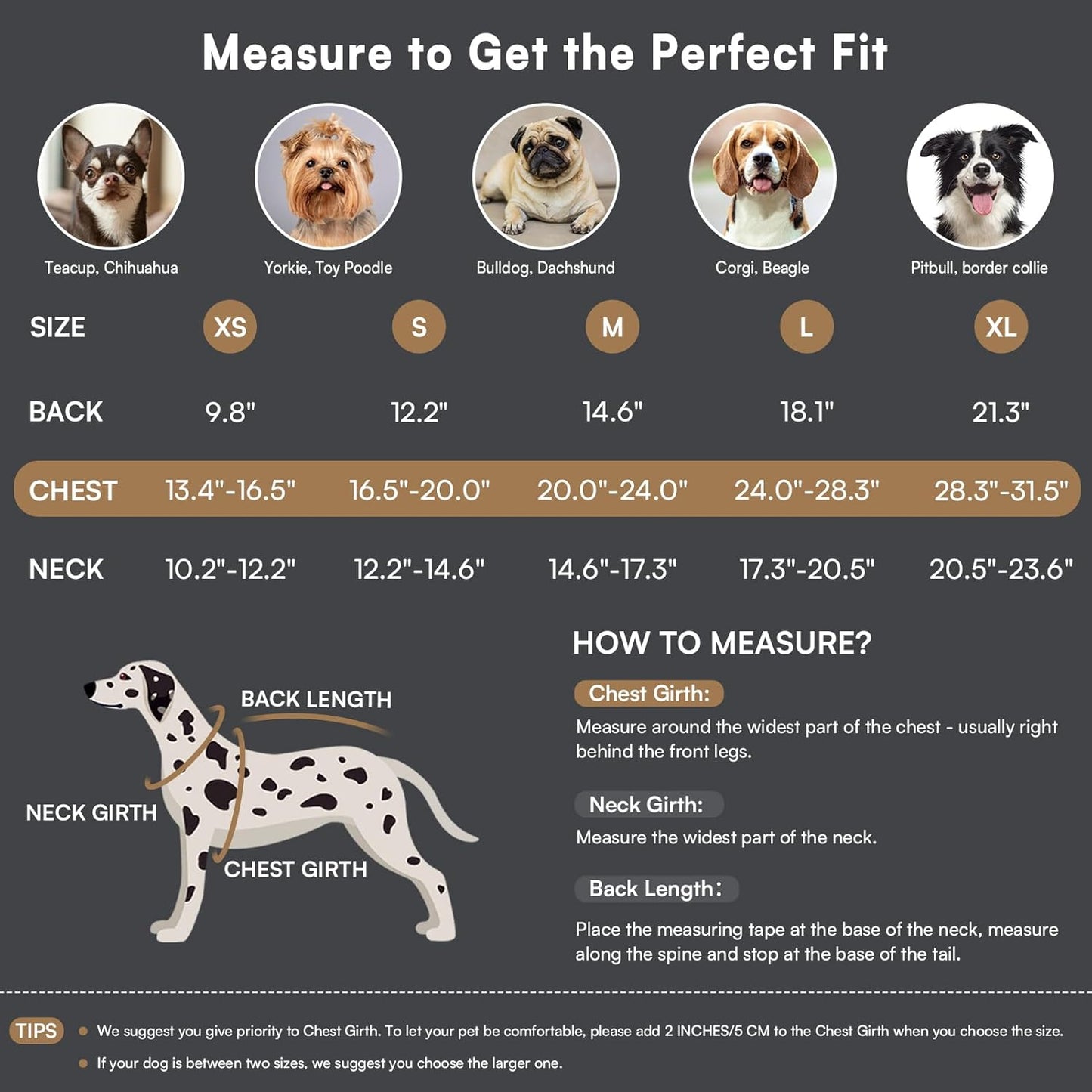 Queenmore Dog Winter Coat Warm Dog Jacket for Cold Weather, Quilting Puffer Plaid Coats for Small/Medium Dogs Waterproof,Girl/Boy Pet Christmas Coat,Pet Snowsuit with Leash Hole/Fleece Padding, M