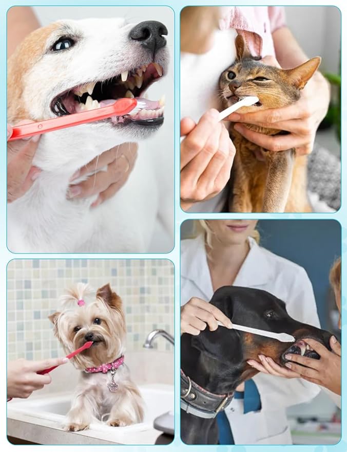 300 Pcs Dog Toothbrush Kit, Dual-Headed Toothbrush for Dogs & Cats, 10 Colors