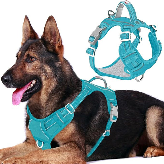 BARKBAY Dog Harness No Pull Oxford with ID Tag Pocket - Heavy Duty, Reflective, Easy Control for Large Dogs(Aqua Oxford,XL)