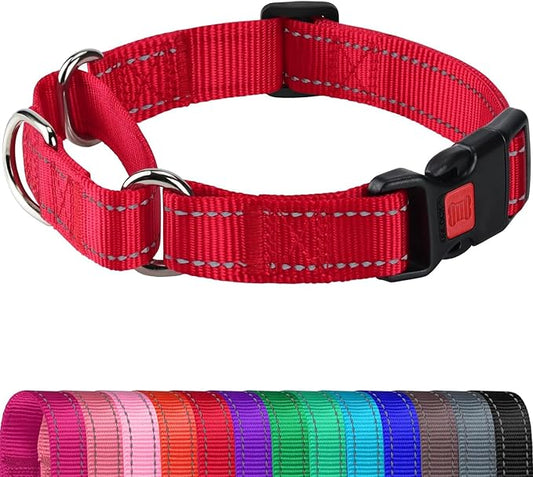 Joytale Martingale Collar for Dogs, Reflective Heavy Duty for Safety, Quick Release Buckle, Adjustable Nylon Collars for Large Dogs Walking Training, Red,L