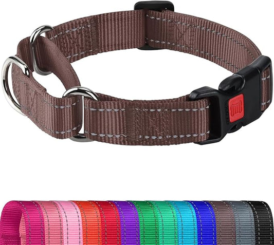 Joytale Martingale Collar for Dogs, Reflective Heavy Duty for Safety, Quick Release Buckle, Adjustable Nylon Collars for Puppy and XSmall Dogs Walking Training, Brown,XS